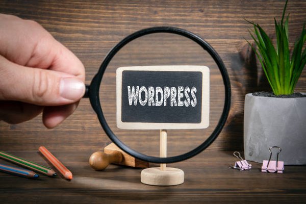 L'agence digitale wordpress qui dynamise votre site web
